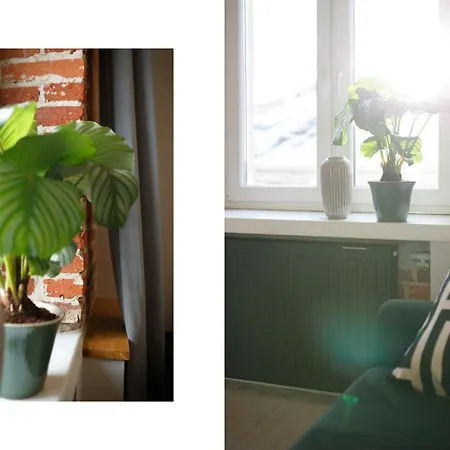 Apartament Apartament Piotrkowska 67 Primo *