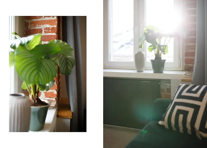 شقة Apartament Piotrkowska 67 Primo *